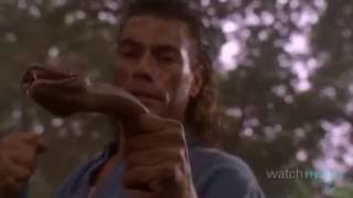 Top 10 JeanClaude Van Damme Moments [upl. by Nylissej]