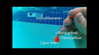 5FT Visability test of Cajun Line vs Monofillament vs Fluorocarbon [upl. by Erialcyram]