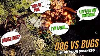 Dogs vs Bugs  Divinity OS2 Part 105 [upl. by Scheers]