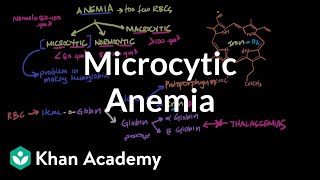 Microcytic anemia  Hematologic System Diseases  NCLEXRN  Khan Academy [upl. by Notlil551]