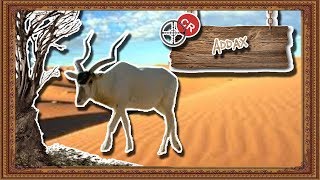 addax El sobreviviente del desierto del Sahara  documental de animales salvajes [upl. by Symon]