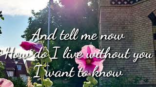 How Do I Live  by LeAnn Rimes Music Lyrics [upl. by Sheeree58]