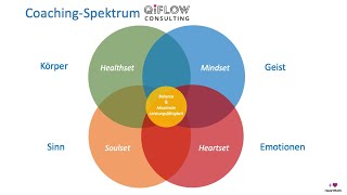 Das mehrdimensionale CoachingSpektrum von QiFLOW Consulting [upl. by Sykleb]