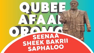 Seenaa Sheek Bakrii Saphaaloo  Seenaa Oromoo  Seenaa Qubee Afaan oromoo  Faaruu Qubee [upl. by Anar]