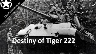 The destiny of Kampfgruppe Peipers Tigers  King Tiger 222 [upl. by Leal]