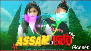 Assam ar kisu chiri valo basa bojena dj hd song remix [upl. by Adierf417]