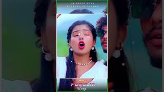 Kochi Fuler koli  Shankar Tantubai amp Mira Das New Purulia Song  New Purulia Romantic Song 2024 [upl. by Nirrek]