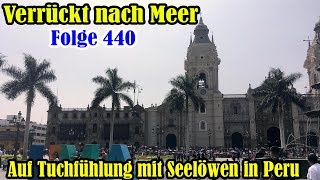 Verrückt nach Meer Folge 440 Auf Tuchfühlung mit Seelöwen in Peru [upl. by Yesor42]