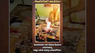 Nitham Lalitha Sahasra Homam I Shikarayoga Ashramam hindhutemple god devotional [upl. by Ellezaj570]