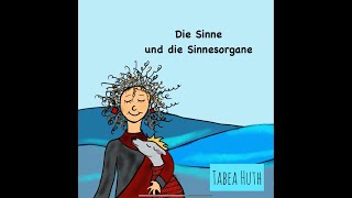 Die Sinne und die Sinnesorgane [upl. by Ireg]