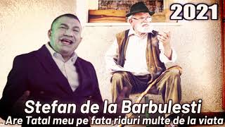 Stefan de la Barbulesti ❎ Are Tatal meu pe fata riduri multe de la viata 2021 [upl. by Amelia96]