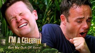 Ant amp Dec FINALLY take on a Bushtucker Trial  Im A Celebrity Get Me Out Of Here [upl. by Noiek]