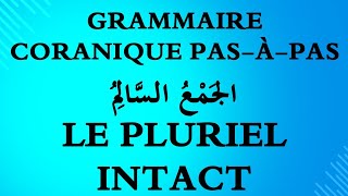 51 Le pluriel intact الجَمْعُ السَّالِمُ Cours darabe [upl. by Ailedamla]