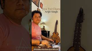 Jiya Tui Chara  Siddha Veena Cover  Arijit Singh  Siddhartha Banerjee [upl. by Airalednac]