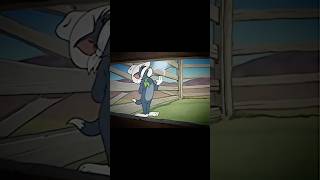 Tom and Jerry Anime shorts video for youviralvideo anime youtube youtuber animation [upl. by Eiliah]