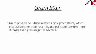 Staining techniques [upl. by Arymas717]