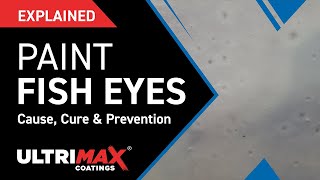 Explained What Causes Fish Eyes In Paint Finish [upl. by June]