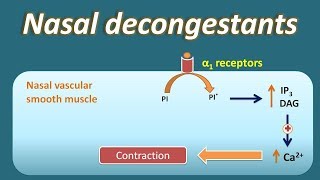 Nasal decongestant  How they act [upl. by Erelia41]