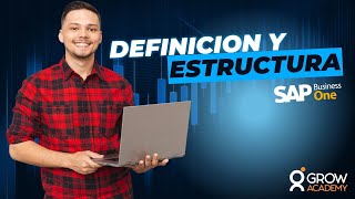 Definición y Estructura de SAP Business One [upl. by Akiemehs991]