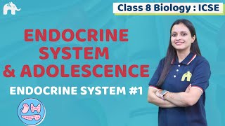 Endocrine System amp Adolescence Class 8 ICSE Biology Chapter 5  Selina  Endocrine System 1 [upl. by Elmina]