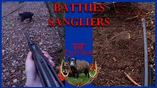 BATTUES de SANGLIERS  4 battues  4 sangliers 1 chevreuil [upl. by Sletten]