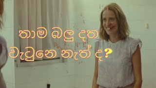 Dogtooth 2009 Movie Explained in Sinhala [upl. by Papert]