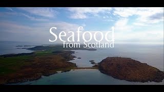 Seafood Scotland Promotional Video [upl. by Jary]