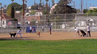 WKND Baseball [upl. by Alliuqahs]