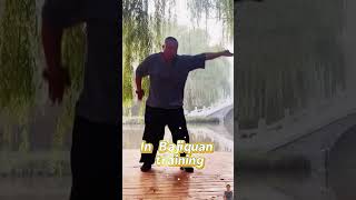 Bajiquan training exhale when exerting force martialarts kungfuskills [upl. by Ydissac296]