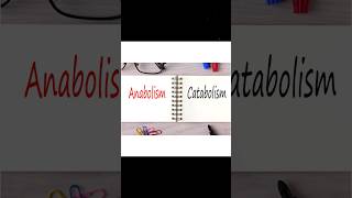 ANABOLISM AND CATABOLISM anabolismcatabolism  WHAT IS ANABOLISM AND CATABOLISM metabolism [upl. by Felizio]