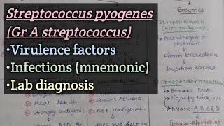 Streptococcuspart2 Group A streptococcus  Virulence factors  Clinical features  Lab diagnosis [upl. by Kylander526]