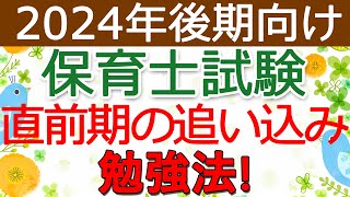 【保育士試験】直前期の勉強法2024年後期対策 [upl. by Belinda]