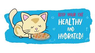 Quench Your Kittys Thirst Discover Cat Hydration with Weruva [upl. by Notlit554]