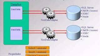 Curso C NET El DataAdapter [upl. by Mercuri277]