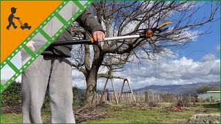 Heavyduty Fiskars UPX86 Telescopic Pruning Shears  240400 cm pole  Customers operating video [upl. by Barnard921]