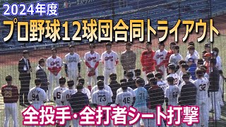 【プロ野球12球団合同トライアウト】元巨人の陽岱鋼など45人が参加／全投手全打者シート打撃ダイジェスト [upl. by Blight380]