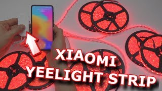 ❓КАК УДЛИНИТЬ XIAOMI YEELIGHT STRIP ❓ 40 И БОЛЕЕ МЕТРОВ УПРАВЛЯЕМ ЧЕРЕЗ MI HOME📱 [upl. by King541]