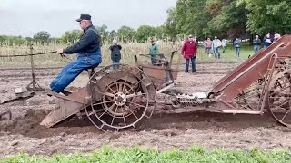 Northern Minnesota Draft Horse Association Field Day 2021 [upl. by Ema706]