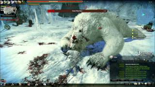 Vindictus Gameplay White Tyrant [upl. by Yrocej270]