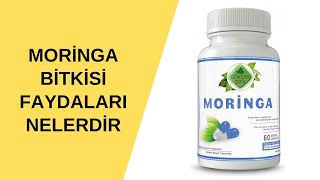 Moringa Bitkisi Nedir Moringa Bitkisinin Faydaları Nelerdir [upl. by Nahor]