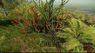 Fast Hyssop farm spots New World 2024 [upl. by Ibbed30]