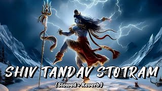 शिव तांडव स्तोत्रम्  Slowed  Reverb  Songs  Shankar Mahadevan  न्यू Rachit Shiv Tandav Stotram [upl. by Artapoelc]