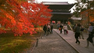 Kyoto in slow motion  Nanzenji 南禅寺【紅葉の京都】 GH4  Glidecam HD4000 [upl. by Otha]