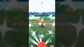 ✨I Can’t Stop Finding THIS Shiny Pokemon in Pokemon Go✨ shorts pokemon [upl. by Fellows]