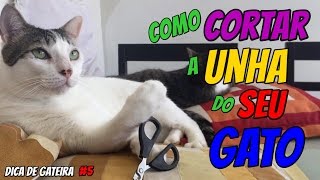 Como cortar unha de gato  DICA DE GATEIRA 5 [upl. by Blackmore]