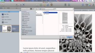 iBooks Author Word Import [upl. by Zoeller]