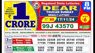 Nagaland Lottery Result 8pm 17112024  Official  Dear Lottery [upl. by Anauqaj367]