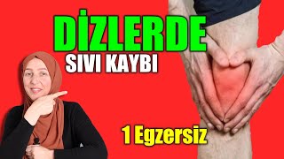 DÄ°Z AÄRISI  DÄ°ZLERDE SIVI KAYBI  DÄ°Z KÄ°REÃ‡LENMESÄ° EVDE FÄ°ZÄ°K TEDAVÄ°  AYNUR BAÅ DÄ°Z EGZERSÄ°ZLERÄ° [upl. by Ayra]