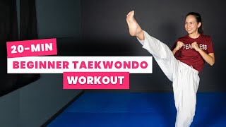 20min BEGINNER TAEKWONDO Workout At Home amp No Equipment [upl. by Ahselrak501]