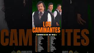 Todo Me Gusta de Ti  Los Caminantes  Românticas Álbum Completo Grande Sucessos [upl. by Quintin]